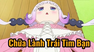 Chữa Lành Trái Tim Bạn