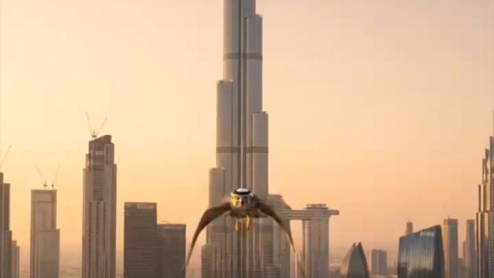 Quick dubai review