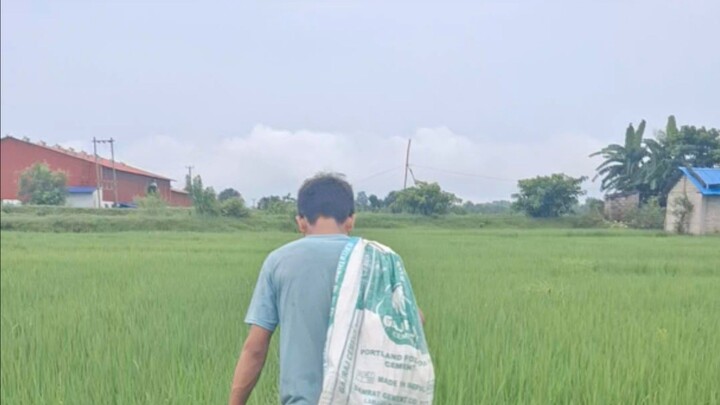 village farmers