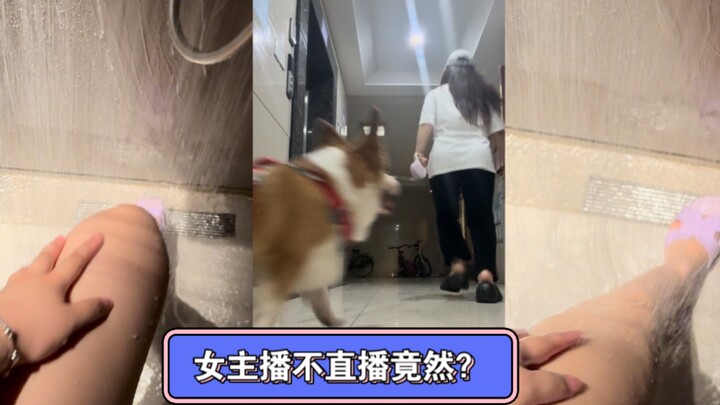 Streamer nữ nói nghỉ ngơi thì toàn đi làm gì vậy?!