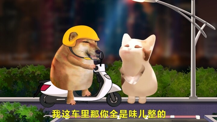 那你不白跑了