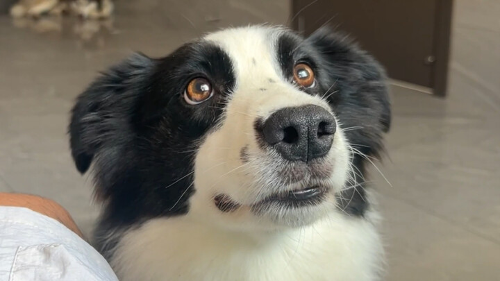 Husky: It's clearly a movie about three people, yet I never get to have a name!