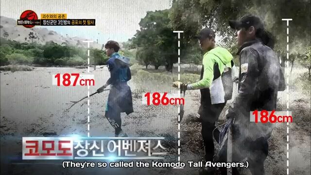 ENG. Law of the jungle 276