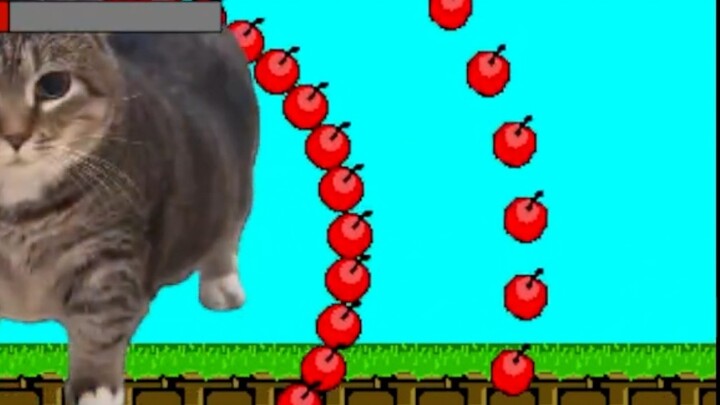 One life to clear the level of super ghost animal cat iwanna