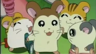 แฮมทาโร่ แก๊งจิ๋วผจญภัย ปี1 ตอนที่ Vol 2