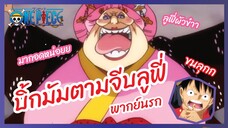 บิ้กมัมตามจีบลูฟี่ - One Piece วันพีช l พากย์นรก