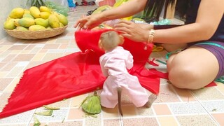 Princes Maya Watching Grandma Make New Dress For Her, Baby Monkey Maya Eating Lotus