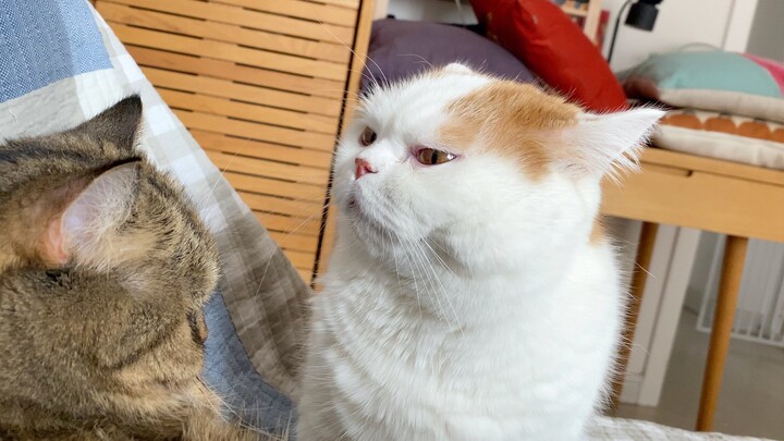 Kalau hidup begini terus, bahkan kena pukul pun rasanya seperti benar adanya.