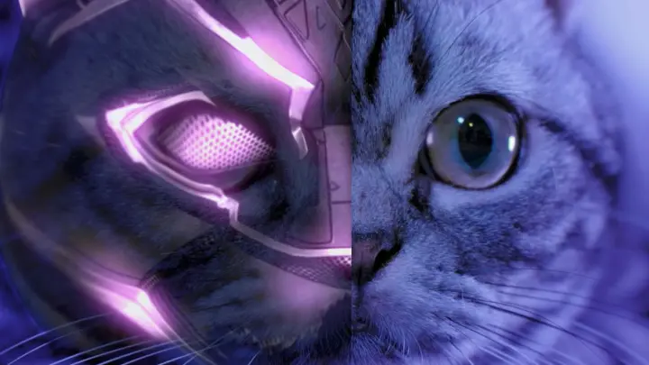 My Cat Has Become Black Panther [Thanos's Diary 05]