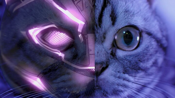 Kucingku Menjadi Black Panther [Thanos's Diary 05]