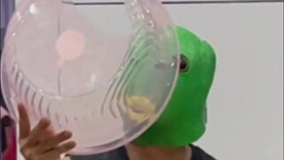 又菜又爱玩