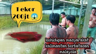 DAYAK kalimantan perbatasan malaysia & Indonesia !!