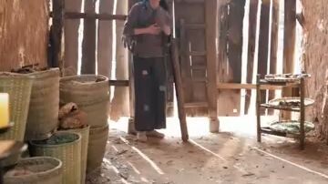 สวี่หลาง  ทะลุมิติปลูกโสมขาย