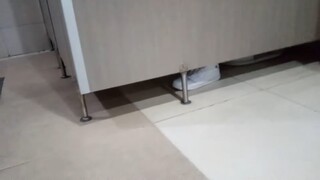 Are you pooping?