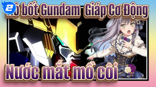 [Rô bốt Gundam  Giáp Cơ Động Hội Kim Huyết] Nước mắt mồ côi, Phối lại Roselia_2