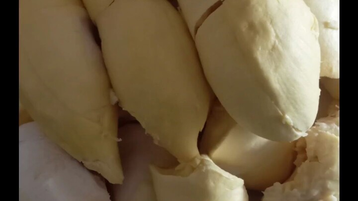 มหากาพย์ ทุเรียน