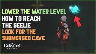 Lower The Water Level (Seelie Too High) Look For The Submerged Cave | Genshin Impact