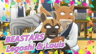 [BEASTARS] Legoshi & Louis / Cakar Dan Gigi Tajam Untukmu