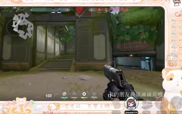 花玲爆粗口，血怒豚鼠，妈不离口