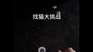 你能找到步百吗？