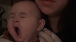 萌娃越养越上头……