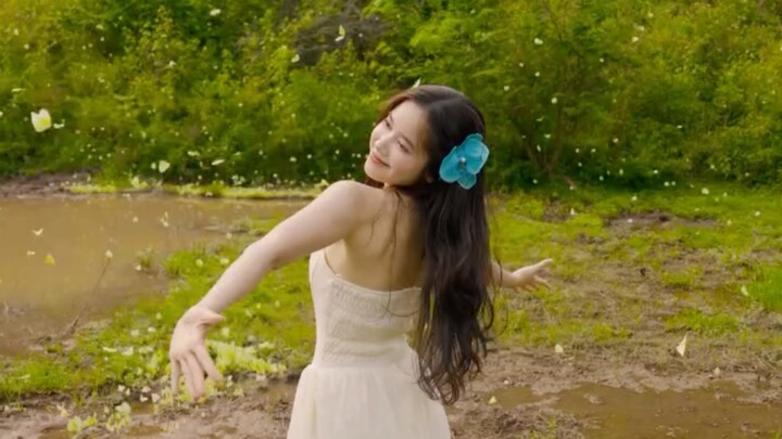 Thung Lũng Bướm Tại Bắc Giang