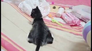 Mailo's stuff and toys unboxing 101