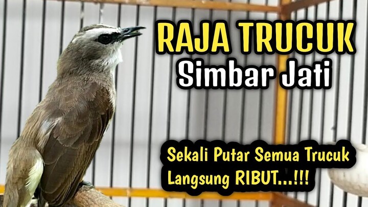 Waoo RAJA TRUCUK SUPER EDAN‼️Ropel Mewah Sepanjang Sejarah
