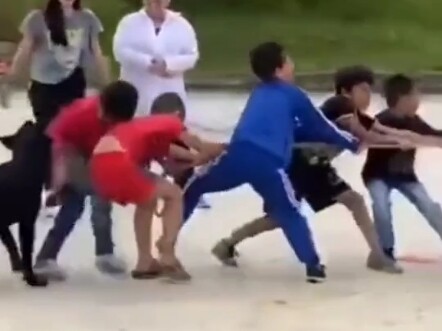 小孩:后面有狗拖着我，这怎么比？