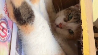 VID_20240130 (1)
