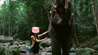 (Bar bar rasio panjang kaki terhadap tubuh Baidu) Pinggang ramping dan kaki tebal sebenarnya sangat 