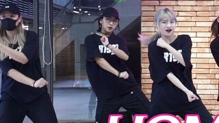 [Pelatihan Cucu] SEVENTEEN-HOME;RUN berlatih pembersihan kecepatan ruangan, dan tarian kelompok pisa
