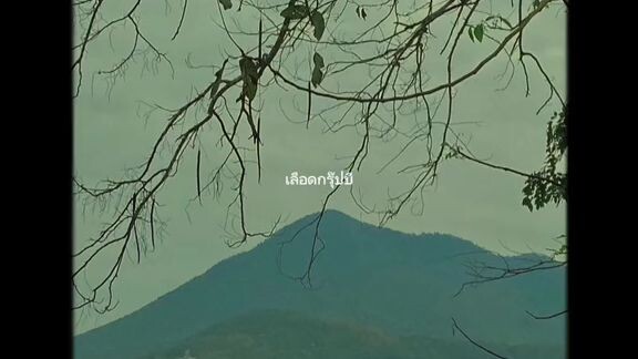 กรุ๊ปB