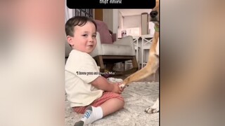 Hãy yêu thương và trao yêu thương thật nhiều nha 😘videoviralitiktok viedeoviral videovirall catlover catanddog catandbaby happylife cuocsongcuameo yêuđộngvật yêumeomeo chó_cưng chókhôn