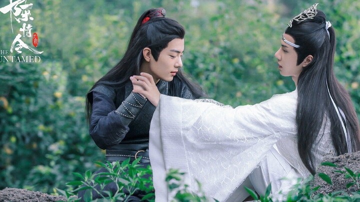 【陈情令】无羁完整版，配合表情包食用效果更佳哦