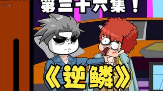 三十六集  逆鳞