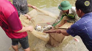 GỎI CÁ MÈ 9KG | Nhịp Sống Tây Bắc