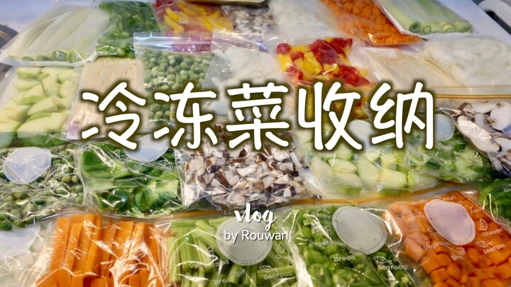 【生活窍门·冷冻菜】冰箱收纳分享！挨累一下午，快乐一星期的冷冻菜处理