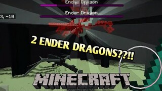 2 ENDER DRAGONS IN ONE END WORLD?! [MCPE]