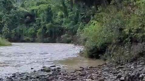পাহাড়ের