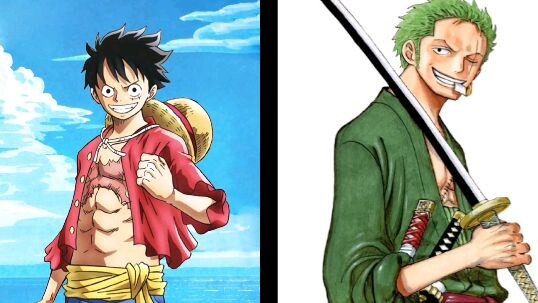 luffy dan zoro