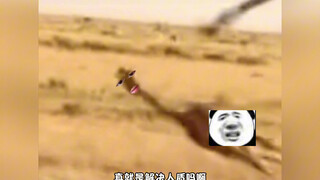 解救=解决