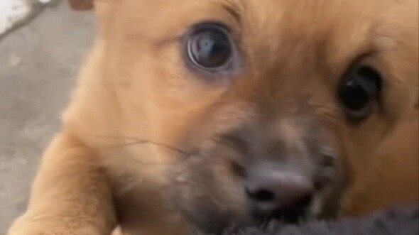 คู่หูเข้าห้องน้ำของฉัน