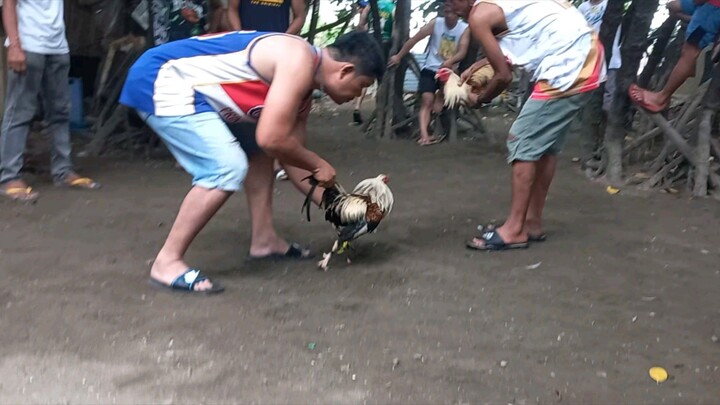 muntik na ang sakang kung manok bwenas tlaga largador ko ehehe peace enjoy watching po