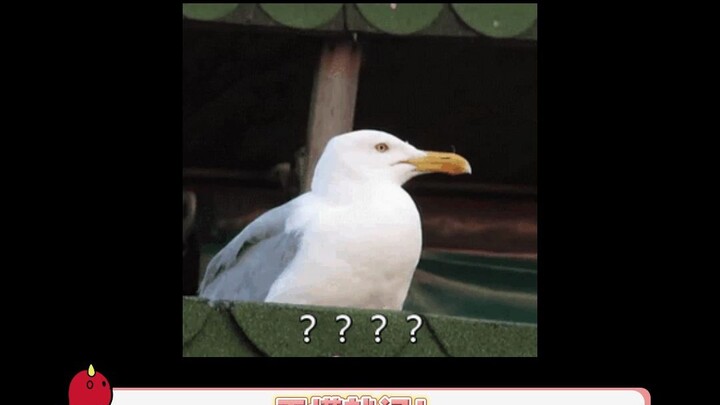 One’d rather miss out than make the first move, and the other won’t even reach out unless you initia