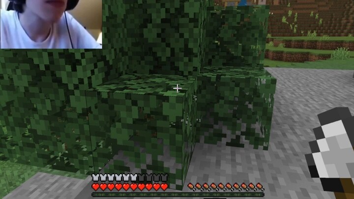 Minecraft Extremely Low Probability Event Giant Sinkhole