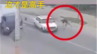 这才是高手  请勿模仿。