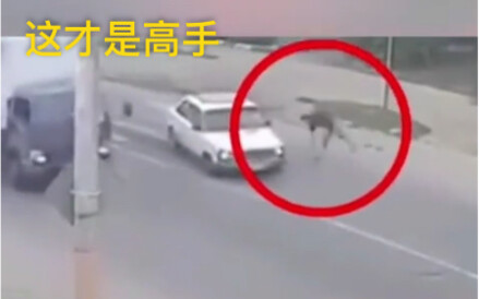 这才是高手  请勿模仿。