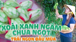 XOÀI XANH NGÂM CHUA NGỌT - MÓN ĂN VẶT CỦA NGƯỜI JRAI | DELICIOUS CHAINS | Ẩm Thực ĐQ Tây Nguyên