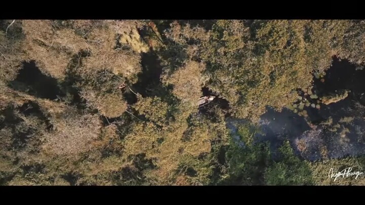 Hoa Trùng Sinh - một sáng tác mới của Ngọc Phụng OFFICIAL MUSIC video